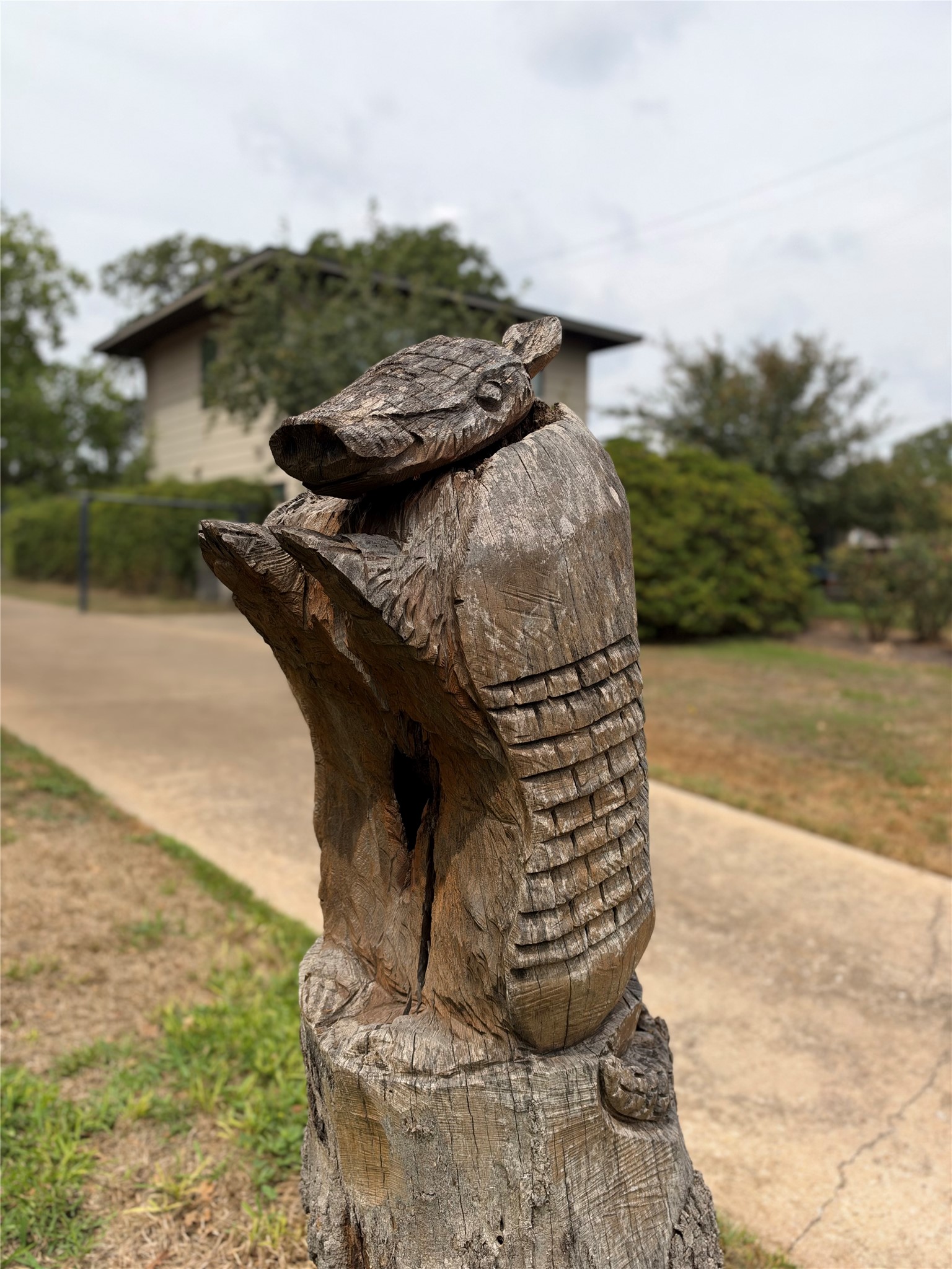 4204 Wildwood Road Austin, TX 78722 - Photo 26 of 29 Fun armadillo carving in a tree stump!