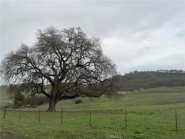 a view of grassy field with trees