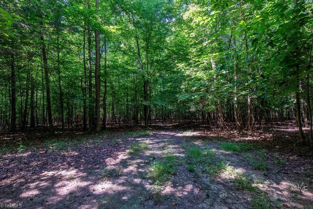 5685 Wagoner Road Trinity, NC 27370 - Photo 35 of 40