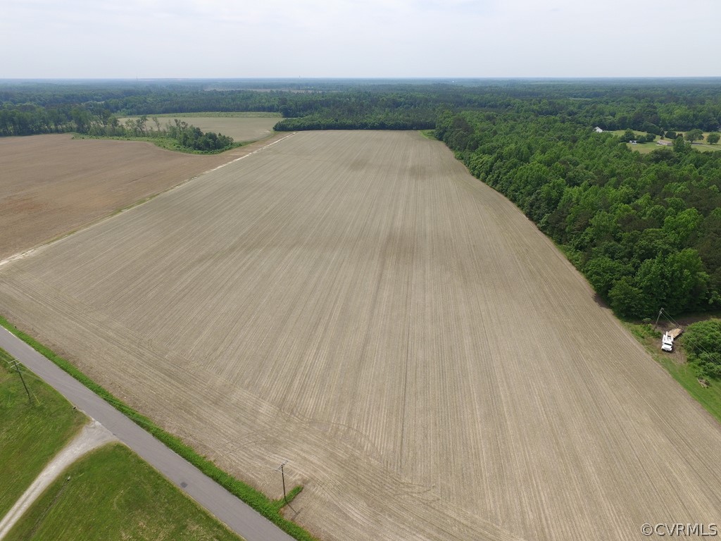 276-ac Webb Road Disputanta, VA 23842 - Photo 1 of 50 Gallery Image 1