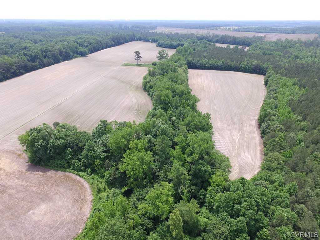 276-ac Webb Road Disputanta, VA 23842 - Photo 11 of 50 Gallery Image 11