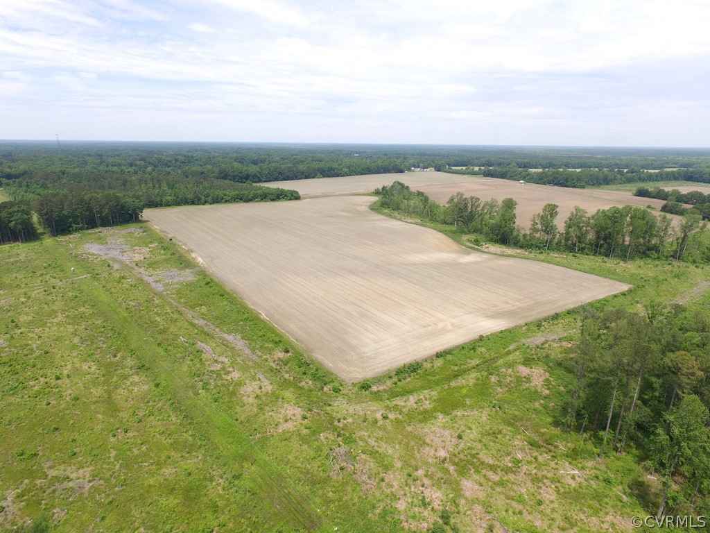 276-ac Webb Road Disputanta, VA 23842 - Photo 12 of 50 Gallery Image 12