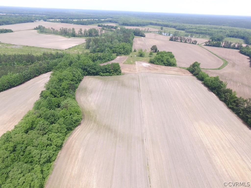276-ac Webb Road Disputanta, VA 23842 - Photo 13 of 50 Gallery Image 13