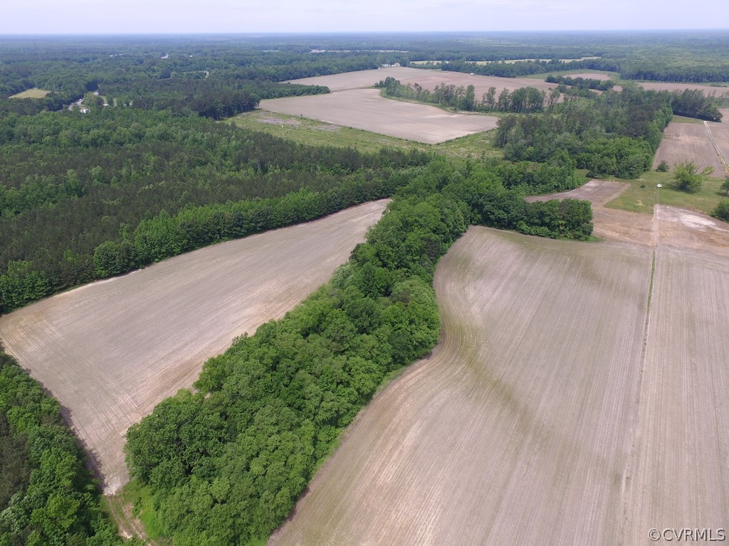 276-ac Webb Road Disputanta, VA 23842 - Photo 14 of 50 Gallery Image 14