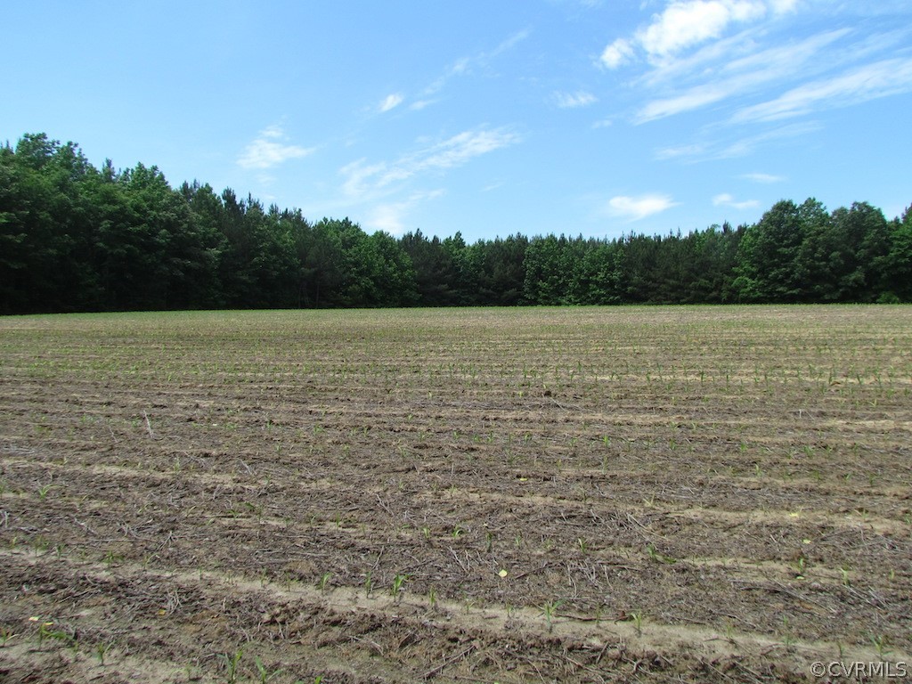 276-ac Webb Road Disputanta, VA 23842 - Photo 20 of 50 Gallery Image 20