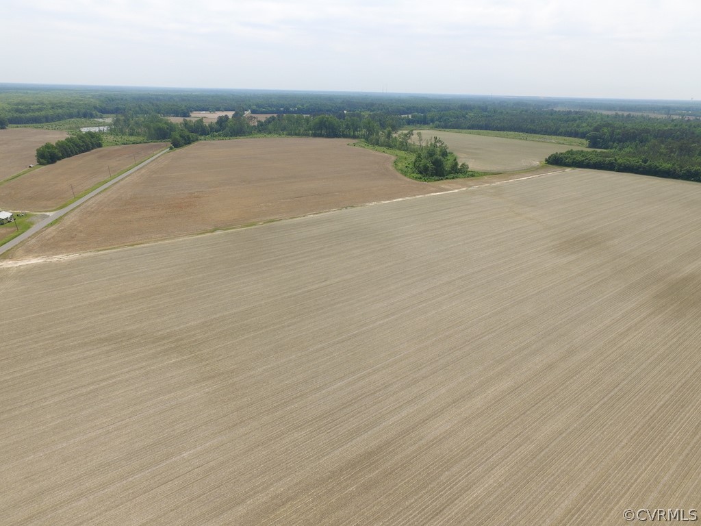276-ac Webb Road Disputanta, VA 23842 - Photo 2 of 50 Gallery Image 2