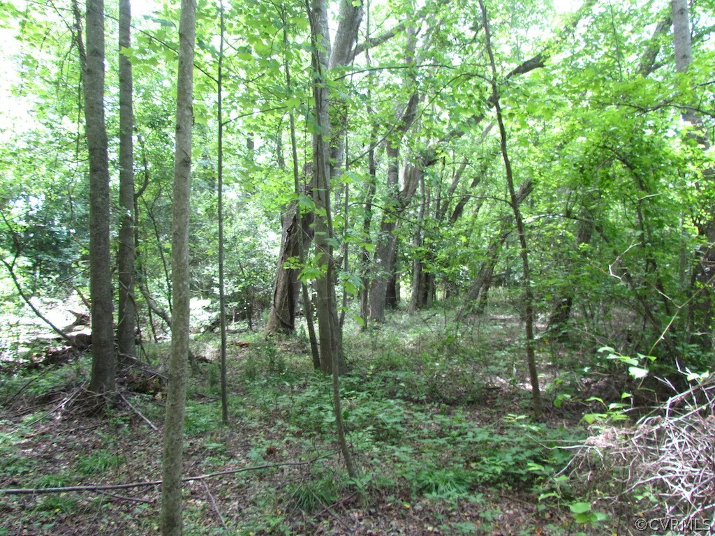 276-ac Webb Road Disputanta, VA 23842 - Photo 21 of 50 Gallery Image 21