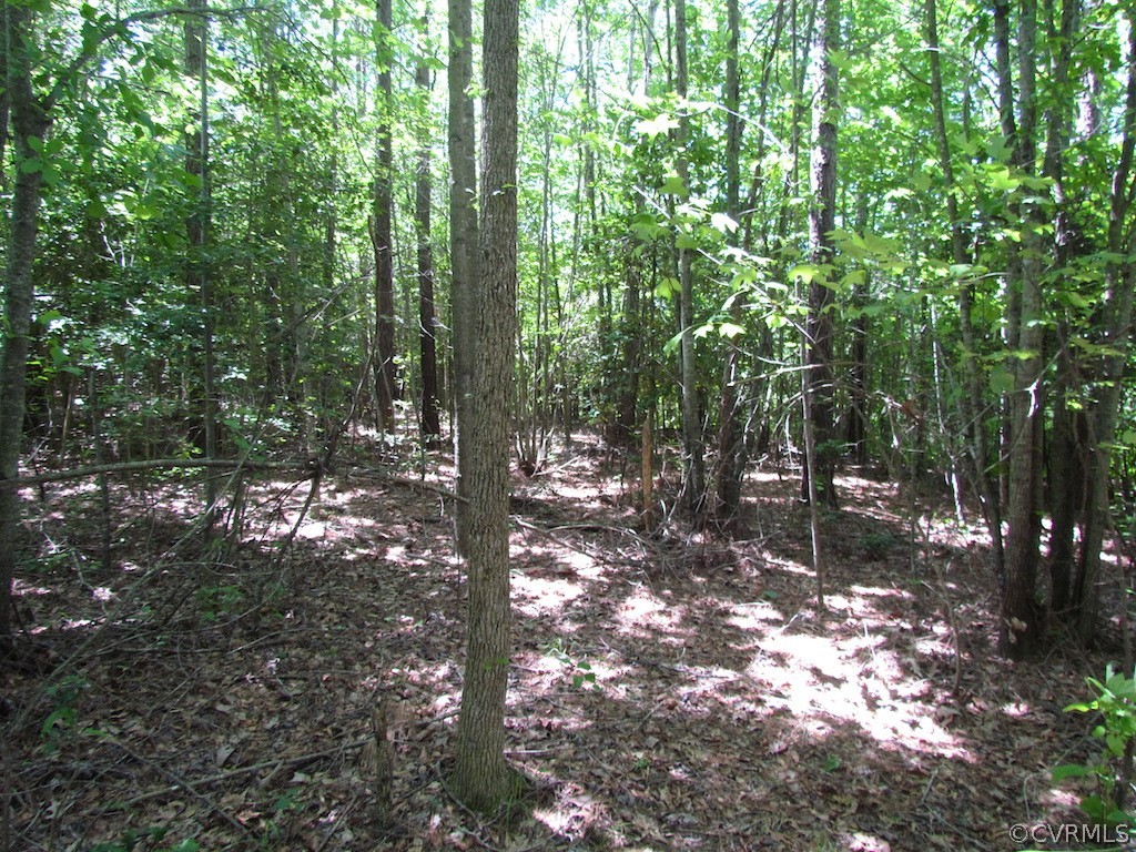 276-ac Webb Road Disputanta, VA 23842 - Photo 23 of 50 Gallery Image 23
