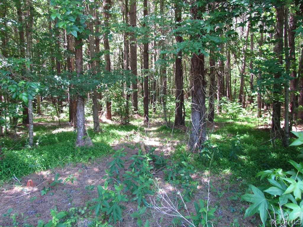 276-ac Webb Road Disputanta, VA 23842 - Photo 27 of 50 Gallery Image 27