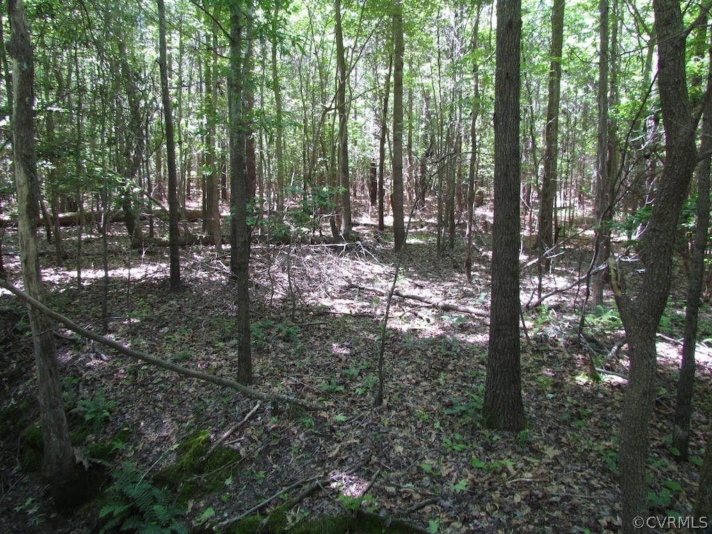 276-ac Webb Road Disputanta, VA 23842 - Photo 29 of 50 Gallery Image 29