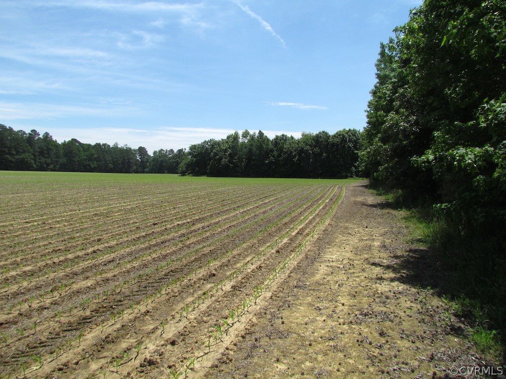 276-ac Webb Road Disputanta, VA 23842 - Photo 30 of 50 Gallery Image 30