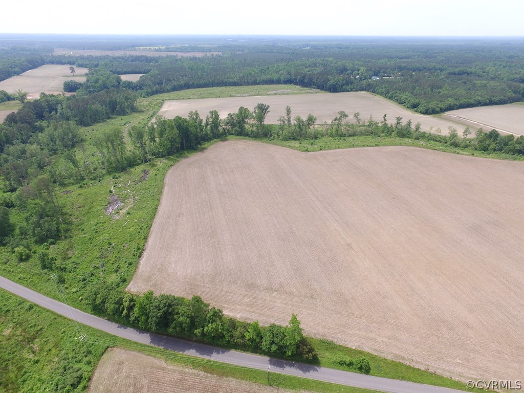 276-ac Webb Road Disputanta, VA 23842 - Photo 3 of 50 Gallery Image 3