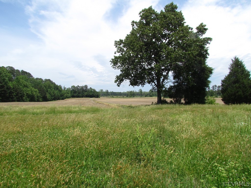 276-ac Webb Road Disputanta, VA 23842 - Photo 33 of 50 Gallery Image 33