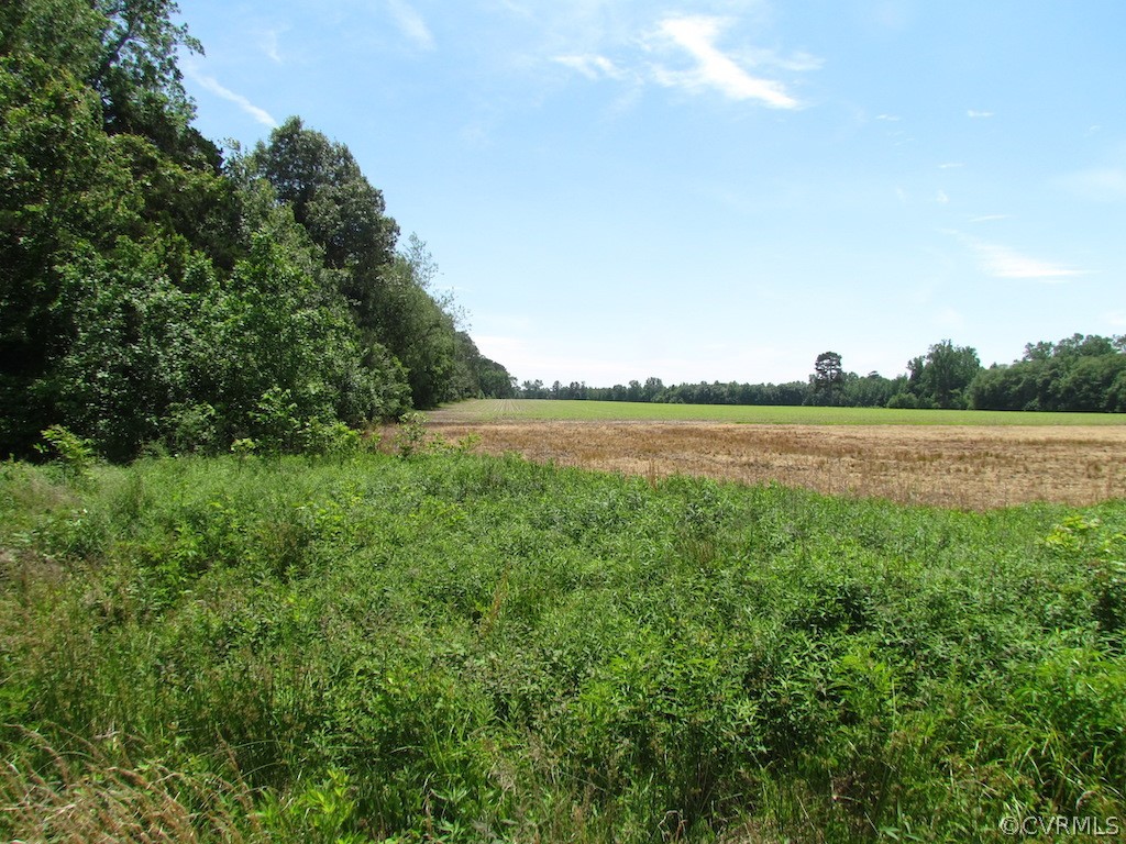 276-ac Webb Road Disputanta, VA 23842 - Photo 35 of 50 Gallery Image 35