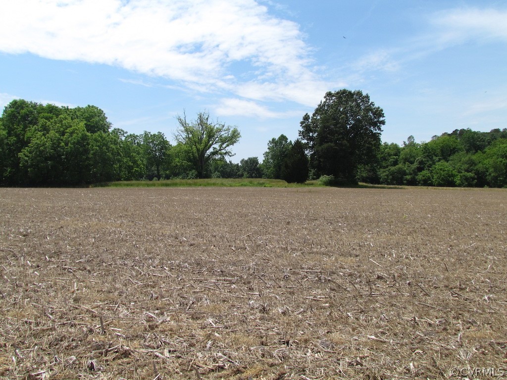 276-ac Webb Road Disputanta, VA 23842 - Photo 36 of 50 Gallery Image 36