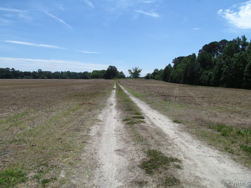 276-ac Webb Road Disputanta, VA 23842 - Photo 38 of 50 Gallery Image 38