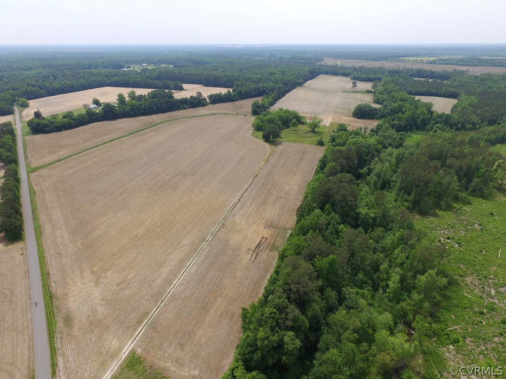276-ac Webb Road Disputanta, VA 23842 - Photo 4 of 50 Gallery Image 4