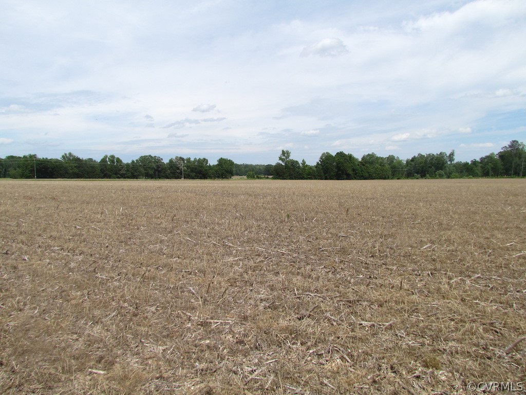 276-ac Webb Road Disputanta, VA 23842 - Photo 42 of 50 Gallery Image 42