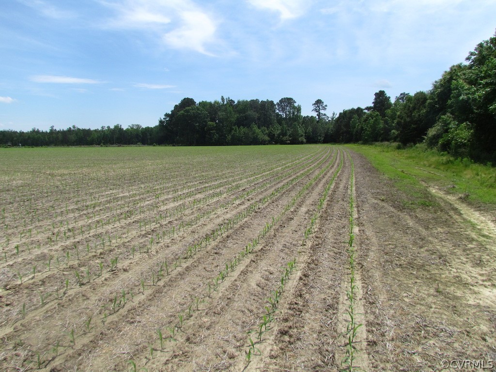 276-ac Webb Road Disputanta, VA 23842 - Photo 46 of 50 Gallery Image 46