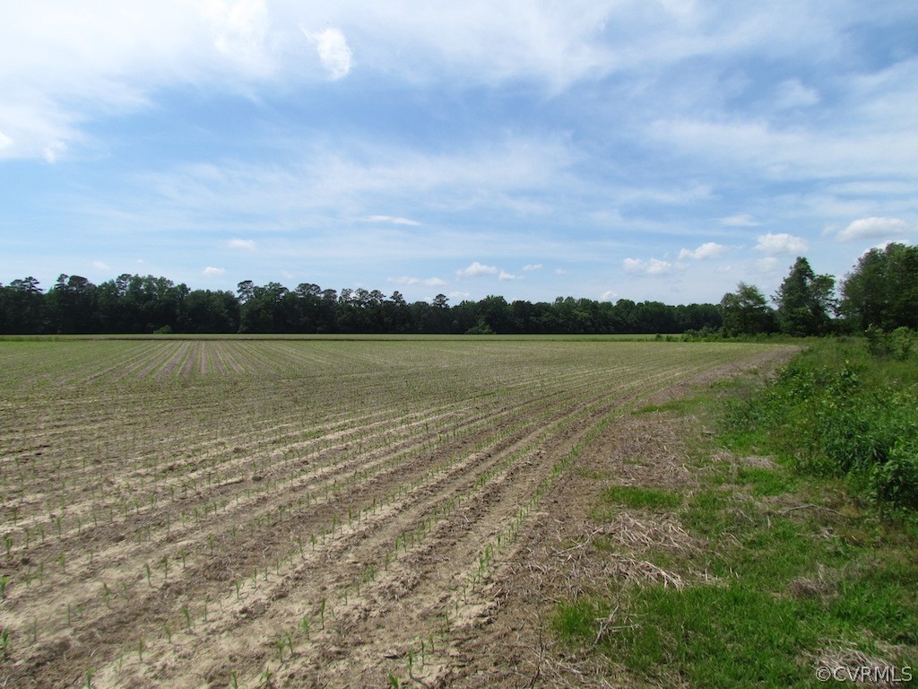 276-ac Webb Road Disputanta, VA 23842 - Photo 49 of 50 Gallery Image 49