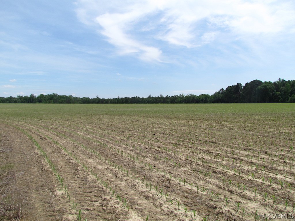 276-ac Webb Road Disputanta, VA 23842 - Photo 50 of 50 Gallery Image 50