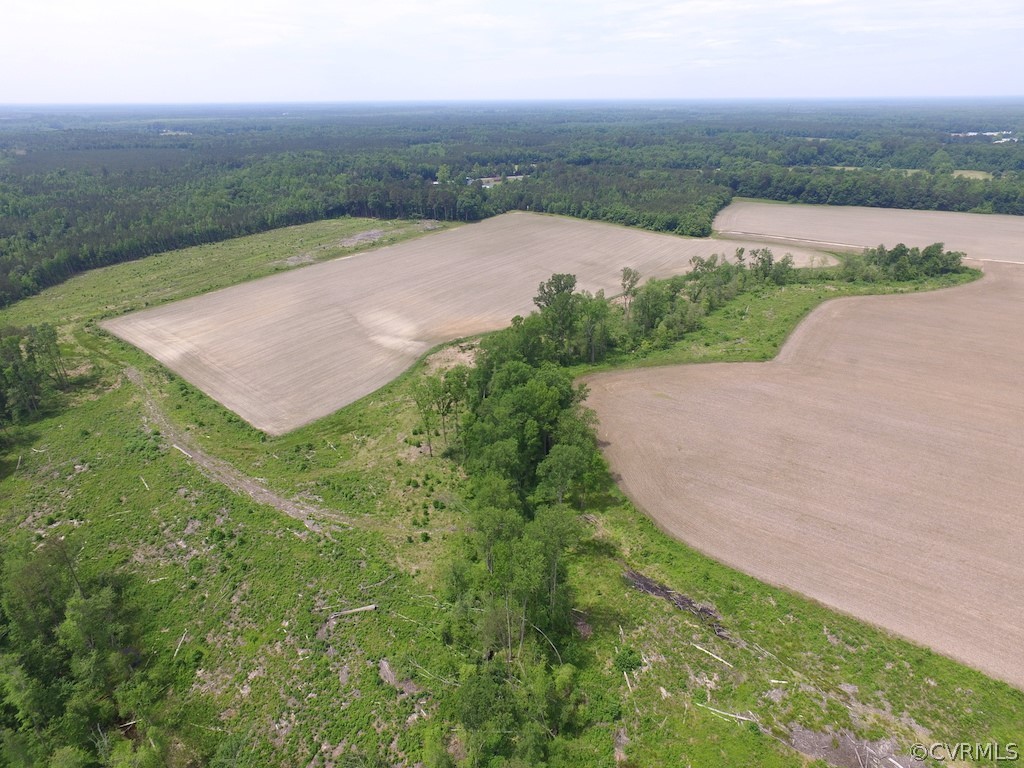276-ac Webb Road Disputanta, VA 23842 - Photo 5 of 50 Gallery Image 5