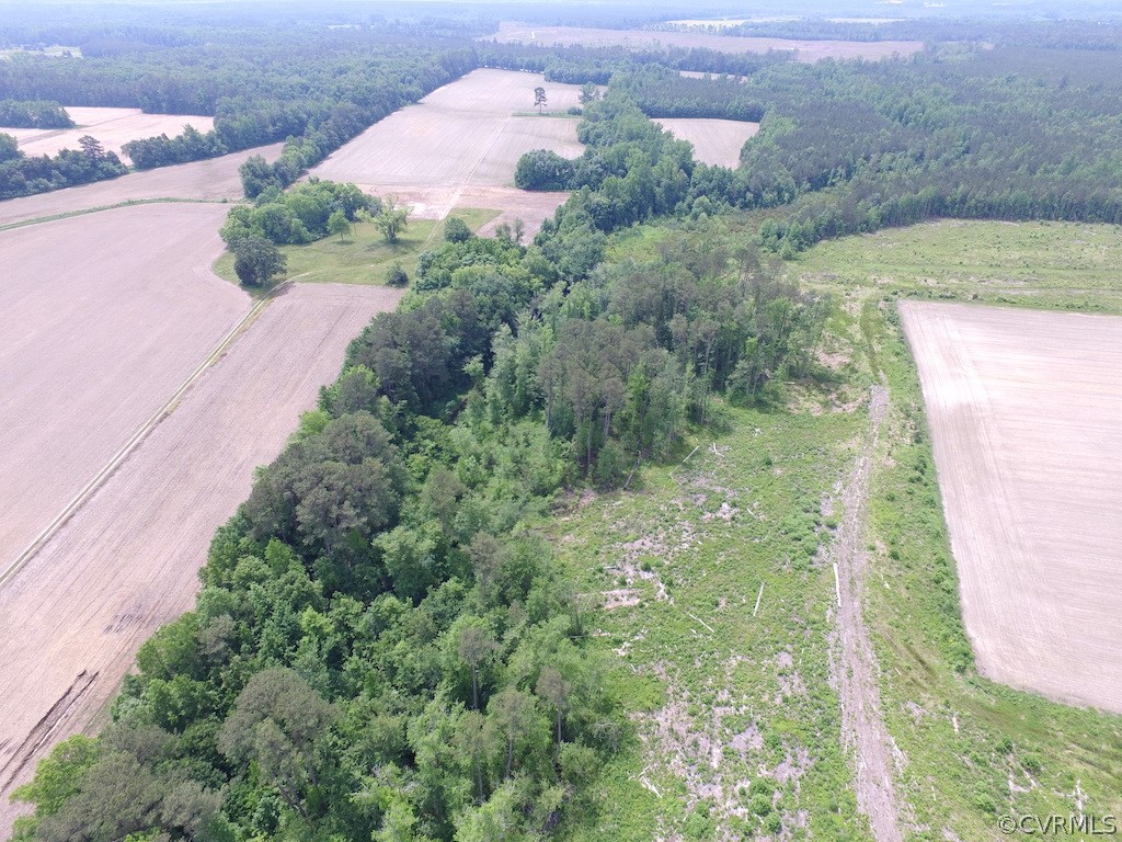 276-ac Webb Road Disputanta, VA 23842 - Photo 6 of 50 Gallery Image 6