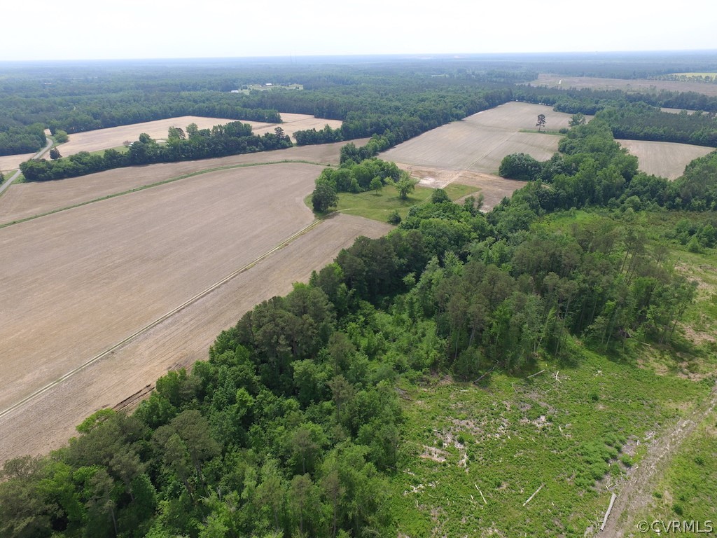 276-ac Webb Road Disputanta, VA 23842 - Photo 7 of 50 Gallery Image 7