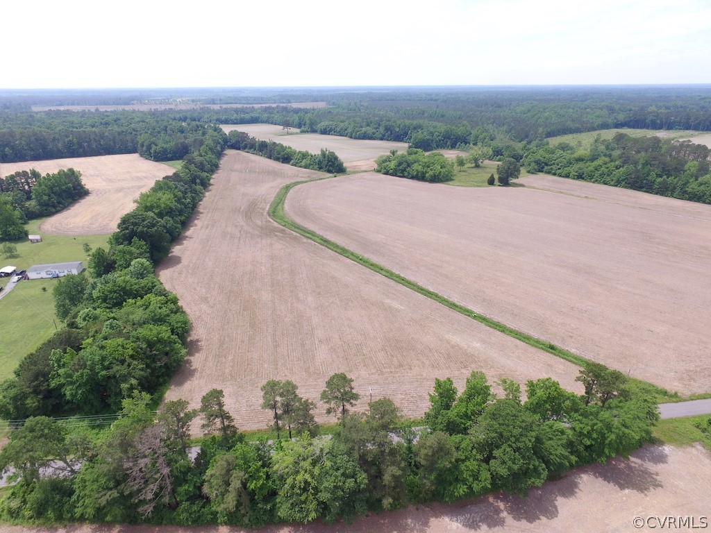 276-ac Webb Road Disputanta, VA 23842 - Photo 9 of 50 Gallery Image 9