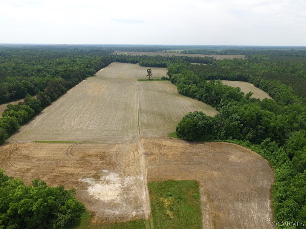 276-ac Webb Road Disputanta, VA 23842 - Photo 10 of 50 Gallery Image 10