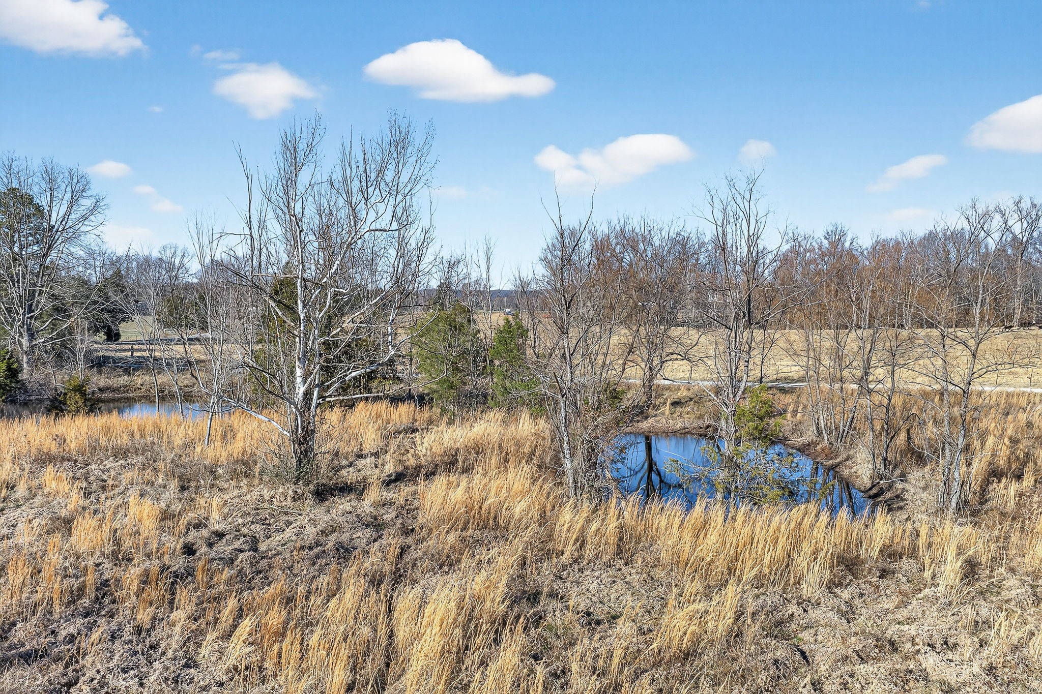 0 Cole Road Quebeck, TN 38579 - Photo 11 of 17 a view of a yard with a fountain