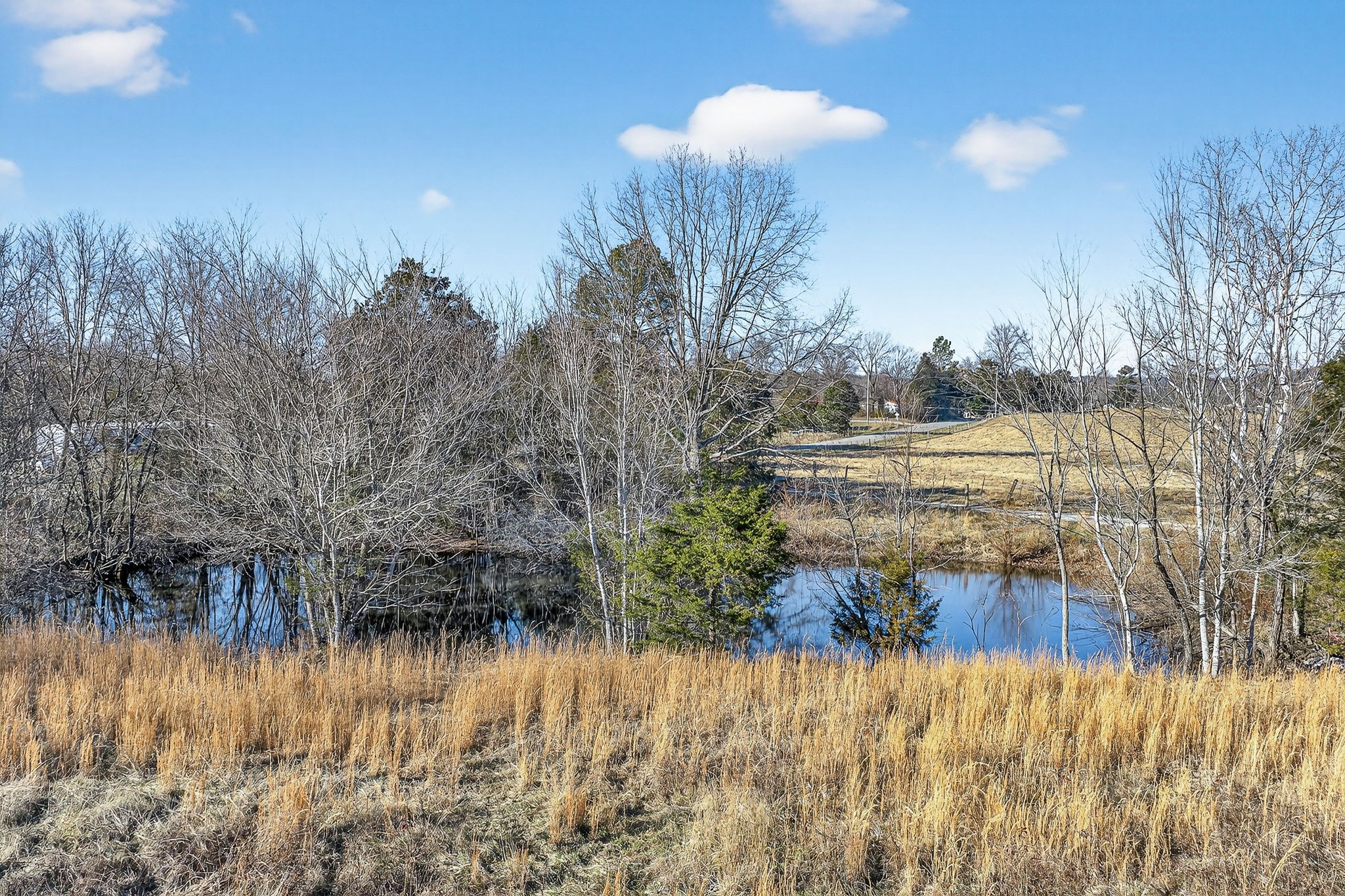 0 Cole Road Quebeck, TN 38579 - Photo 12 of 17 a view of lake