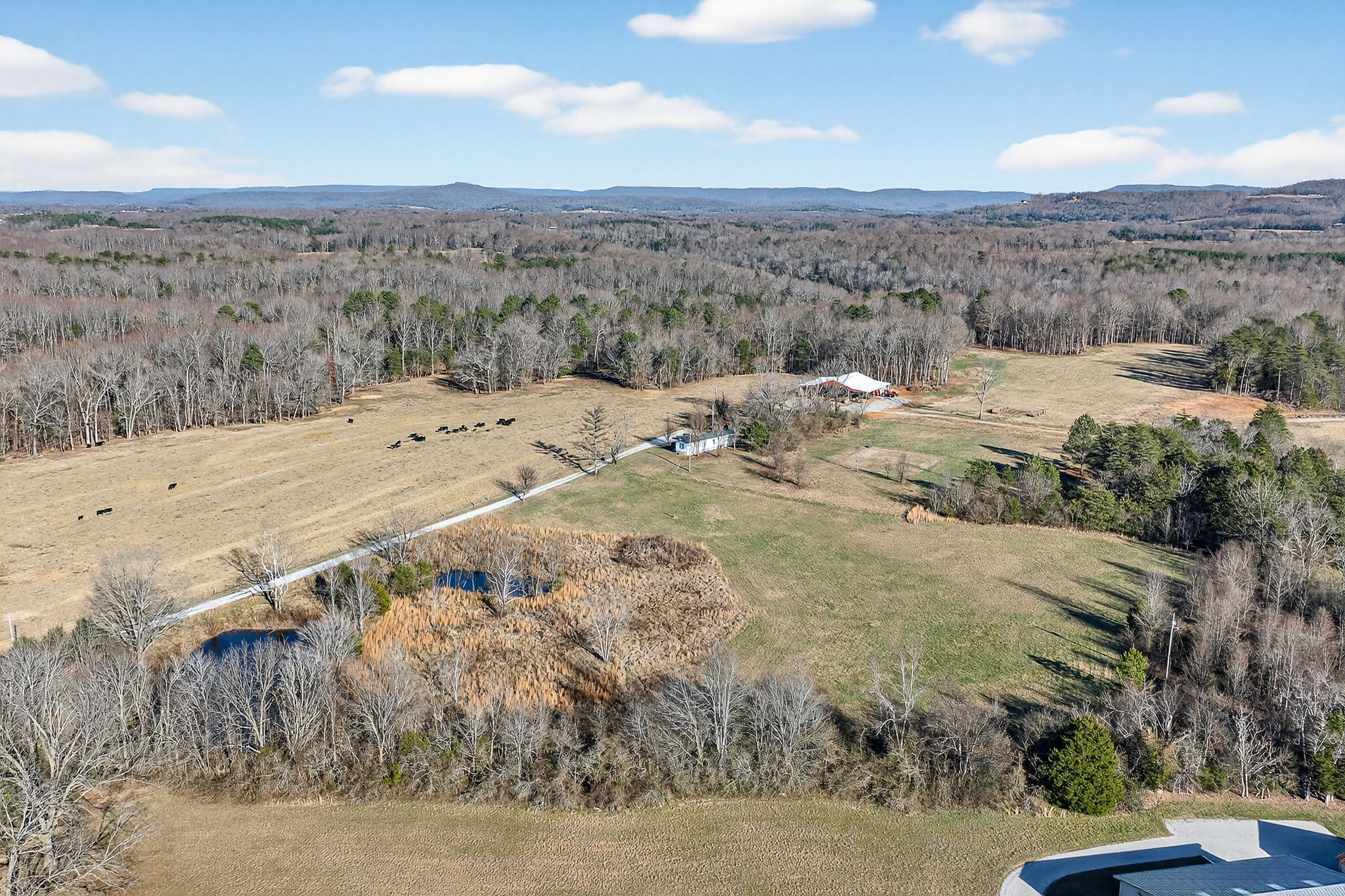 0 Cole Road Quebeck, TN 38579 - Photo 2 of 17 a view of a dry yard with wooden fence