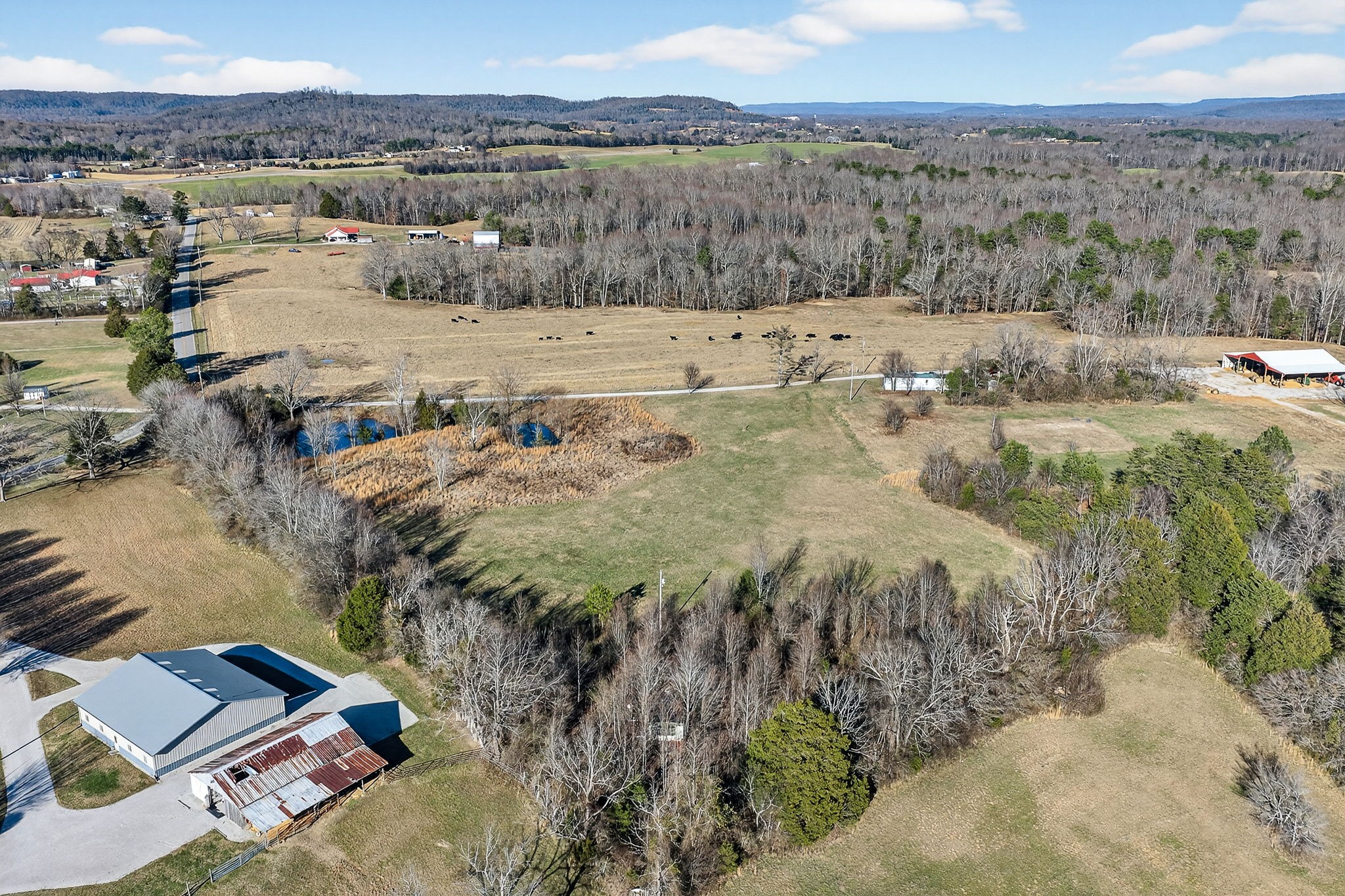 0 Cole Road Quebeck, TN 38579 - Photo 5 of 17