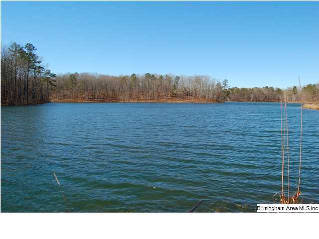 5 Highway Ac Al, Unit 96 23 Woodstock, AL 35188 - Photo 7 of 20