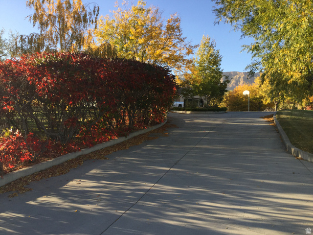 1040 West Mill Road Ferron, UT 84523 - Photo 12 of 117 Paved driveway with concrete curbing, bordered by mature deciduous trees and shrubs