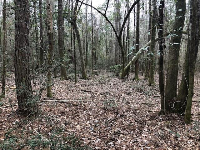 25-ac Gantt Road Andalusia, AL 36421 - Photo 4 of 36 Gallery Image 4