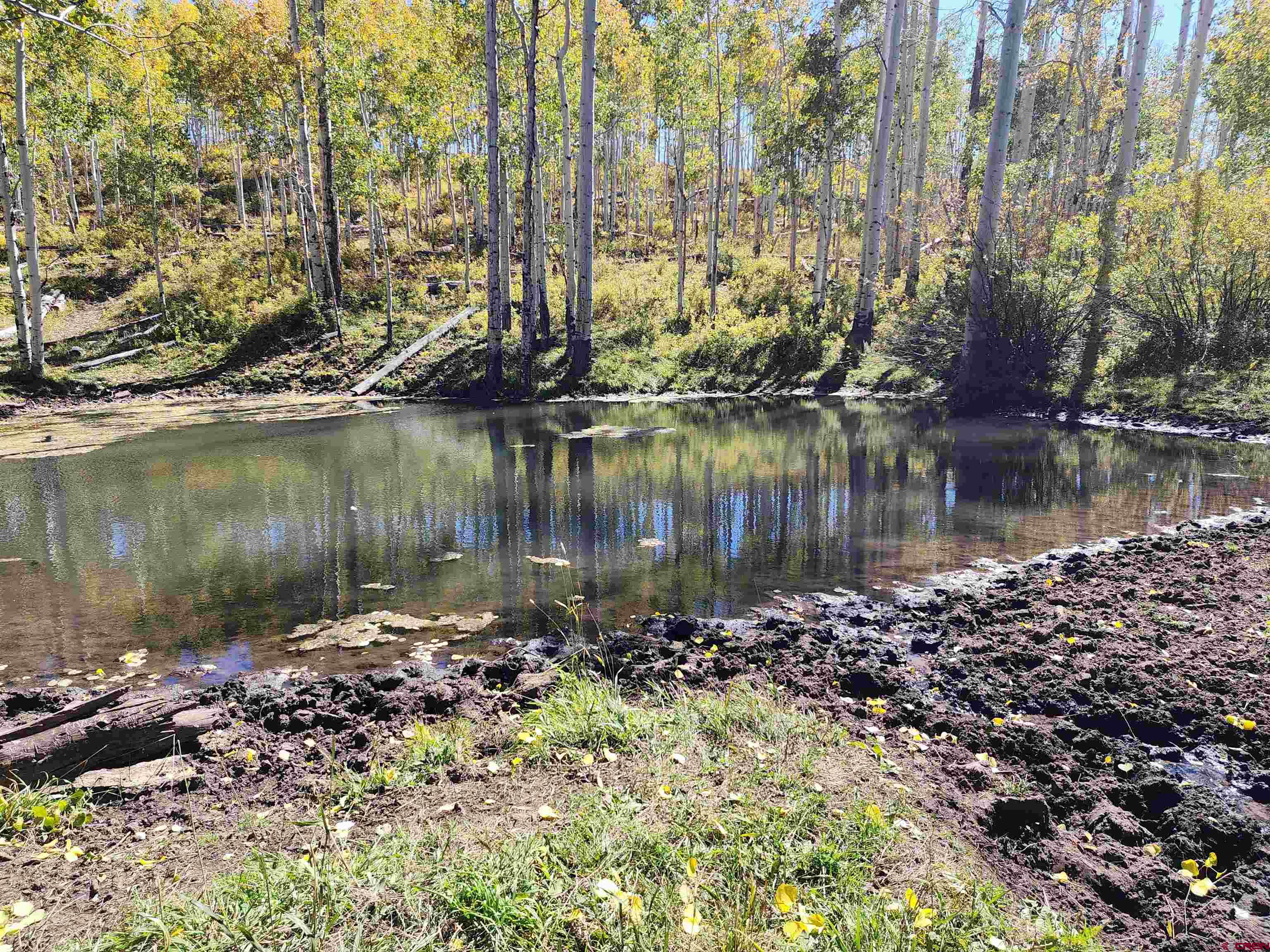 2586 26 1/10 Road Whitewater, CO 81527 - Photo 41 of 45