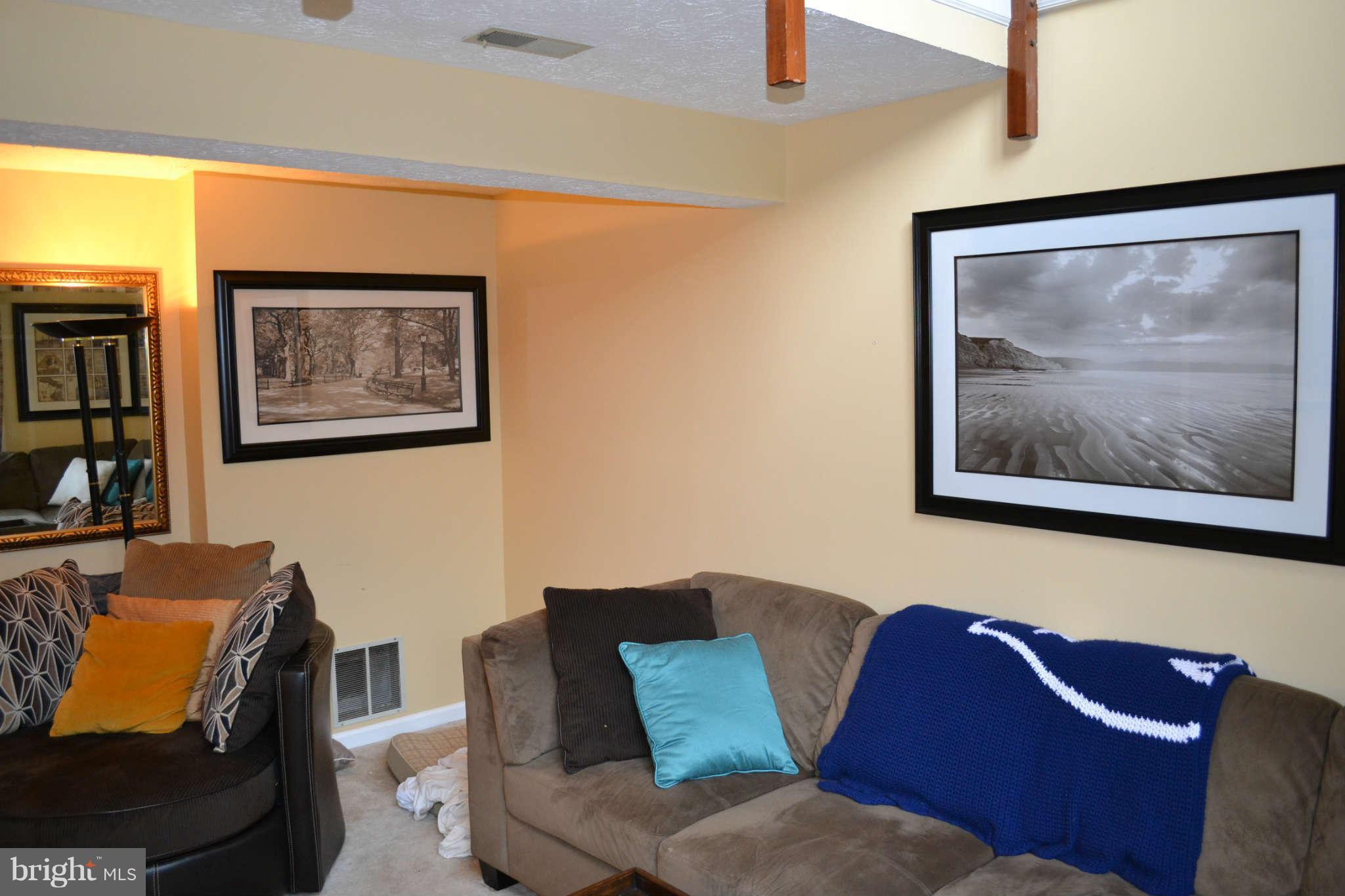 12124 Purple Sage Court Reston, VA 20194 - Photo 15 of 23 Basement