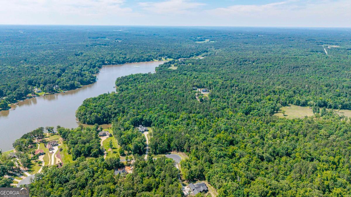 1360 Sailview Drive Buckhead, GA 30625 - Photo 10 of 37