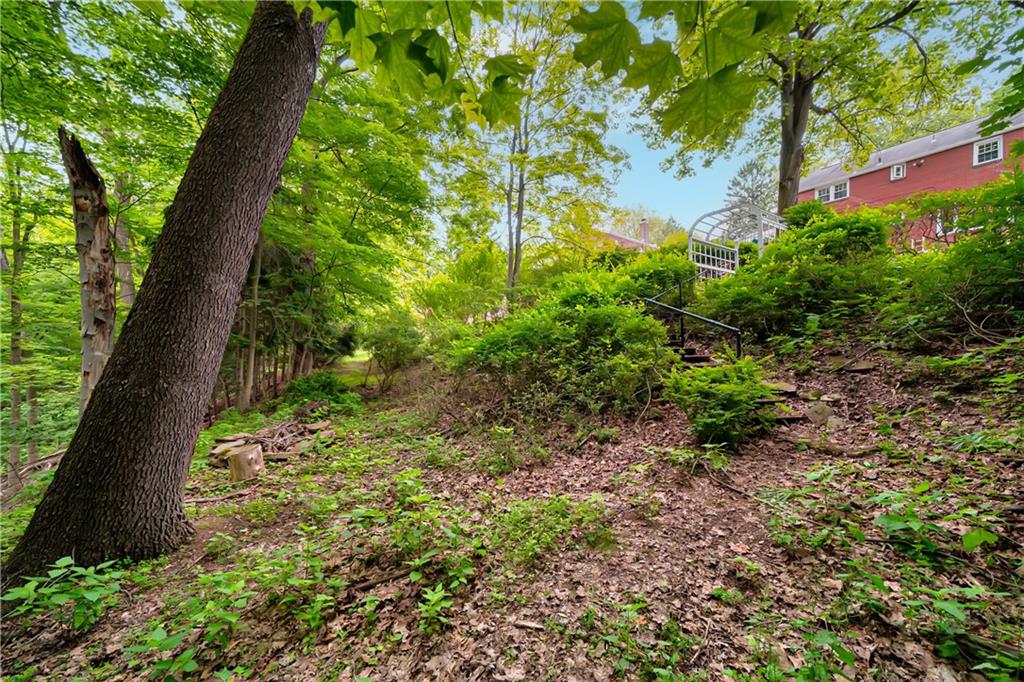 166 Spring Grove Road Pittsburgh, PA 15235 - Photo 38 of 41 a view of a garden with plants
