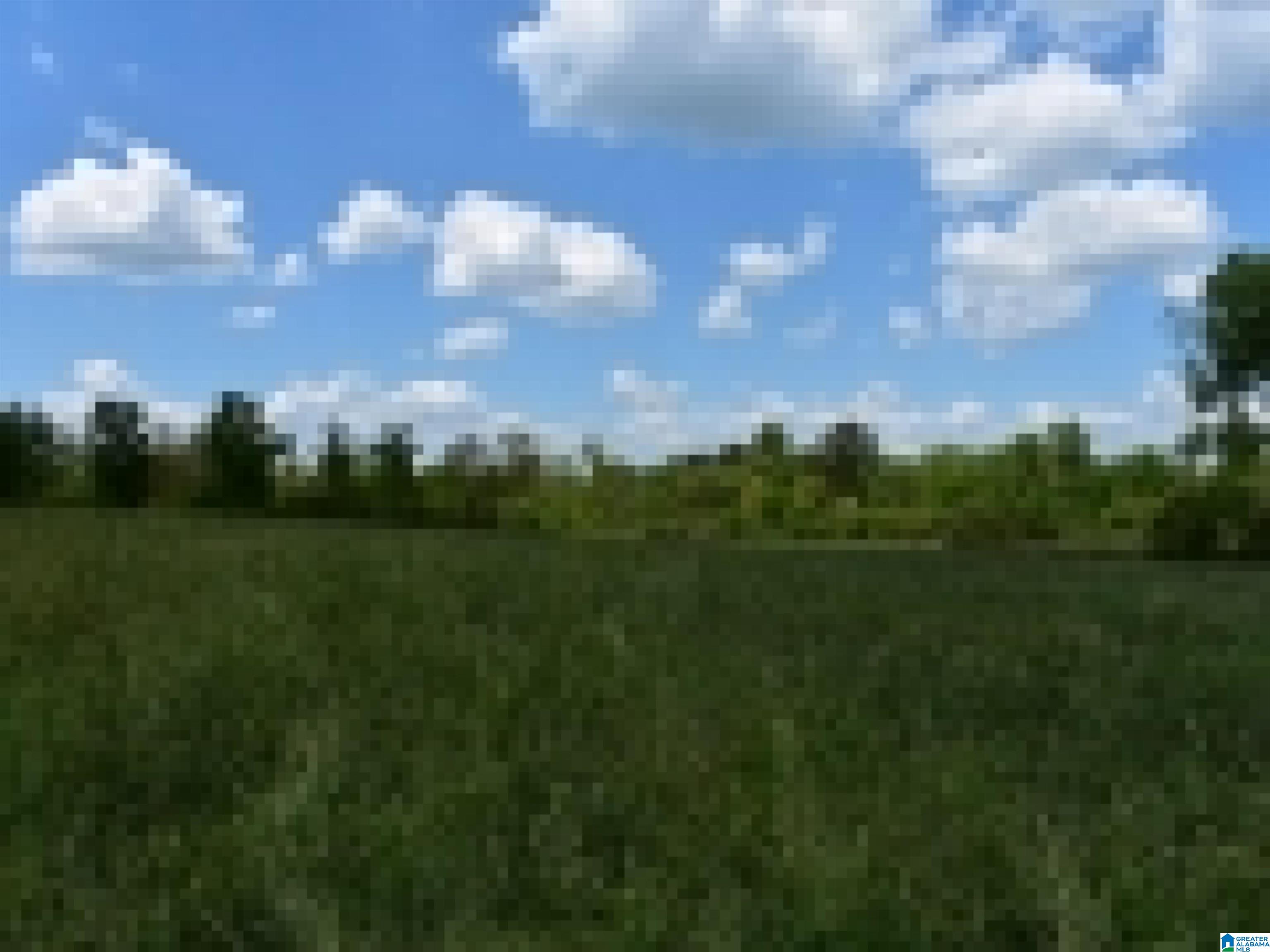 0 County Road 141, Unit 1 Ider, AL 35981 - Photo 24 of 29