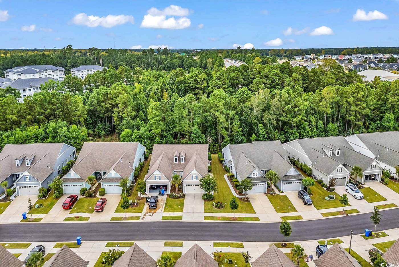 6013 Tramonto Street Myrtle Beach, SC 29577 - Photo 34 of 40 Aerial view of residential area