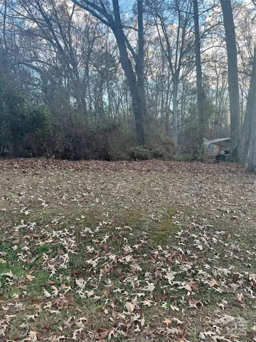 a view of a yard with a tree