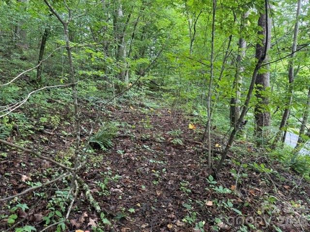 Tbd Meadow Fork Road Hot Springs, NC 28743 - Photo 12 of 20
