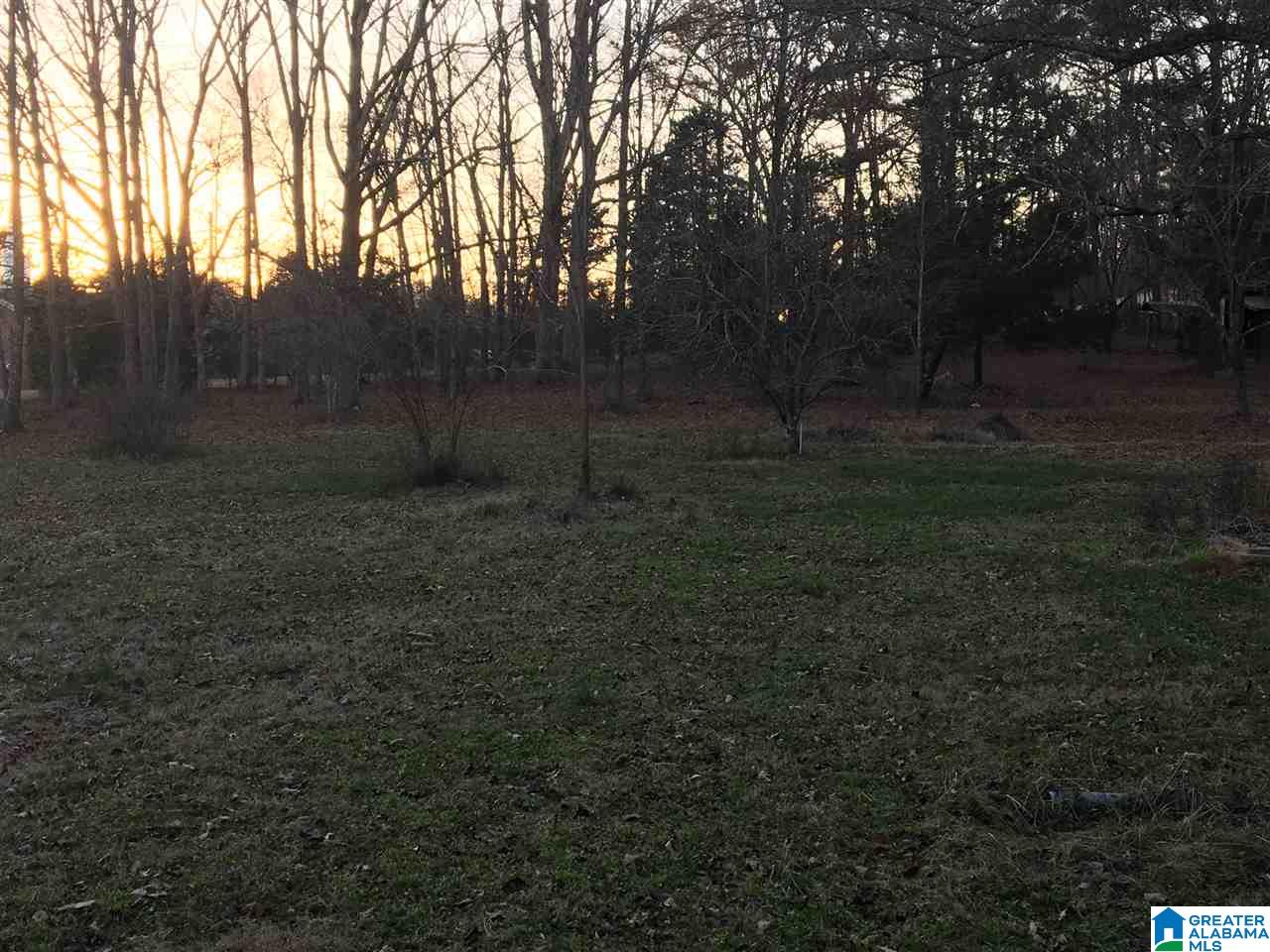 169 Saddle Club Road Jacksonville, AL 36265 - Photo 12 of 12