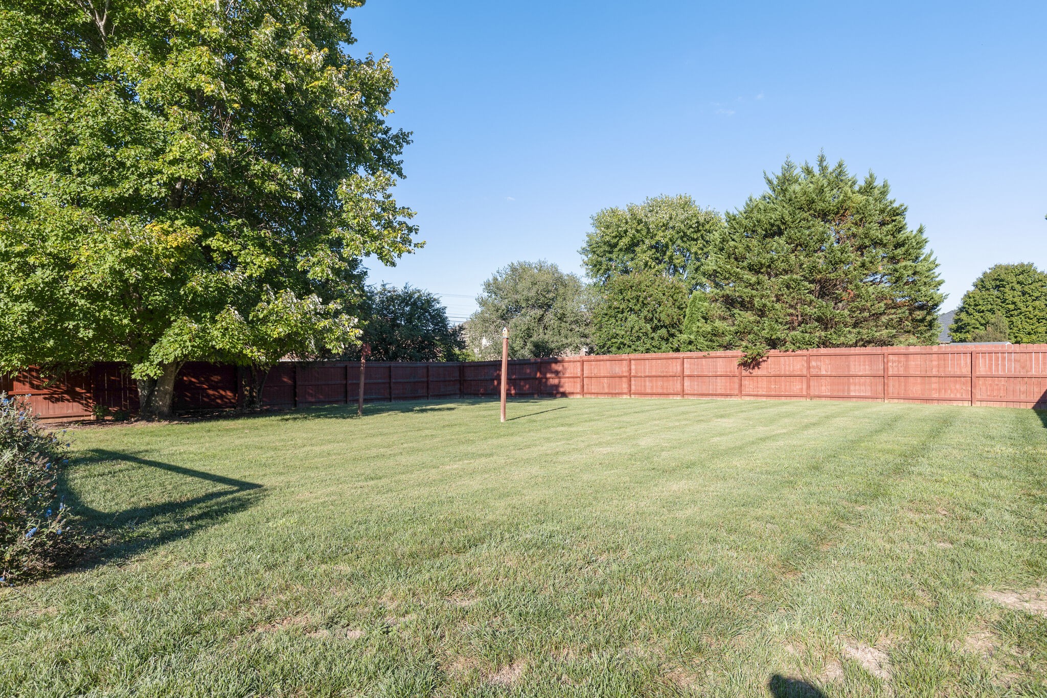 3648 Mahlon Moore Road Spring Hill, TN 37174 - Photo 29 of 30 a view of a park with large trees