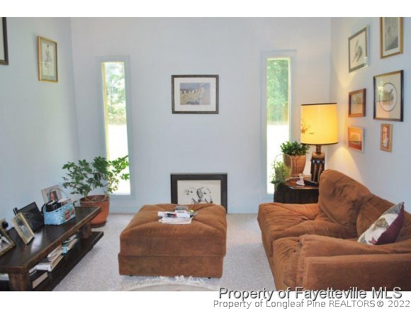 7371 Sherrill Baggett Road Dunn, NC 28334 - Photo 19 of 25 a living room with furniture and a potted plant