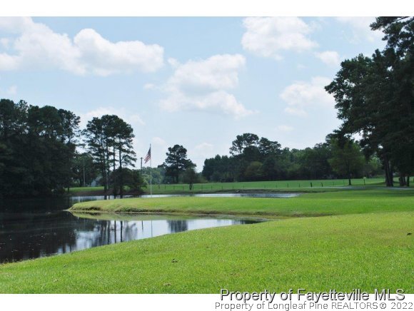 7371 Sherrill Baggett Road Dunn, NC 28334 - Photo 23 of 25 a view of a golf course with a lake