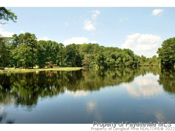 7371 Sherrill Baggett Road Dunn, NC 28334 - Photo 6 of 25